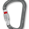Petzl William Carabiner