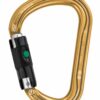 Petzl William Carabiner - Afbeelding 2