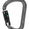 Petzl William Carabiner - Afbeelding 3