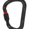 Petzl William Carabiner - Afbeelding 4