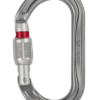 Petzl Ok Carabiner